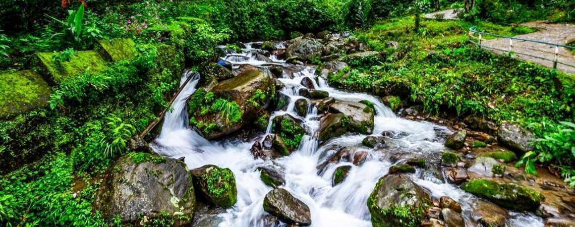 Scenic Picnic at Rock Garden & Ganga Maya Park