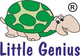 Little Genius Toys