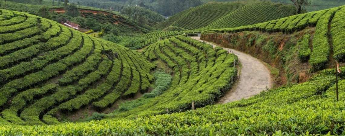 Darjeeling