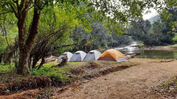 Coorg, Karnataka – Coffee Country Camping
