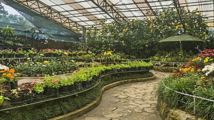 Walk Around the Flower Exhibition Centre