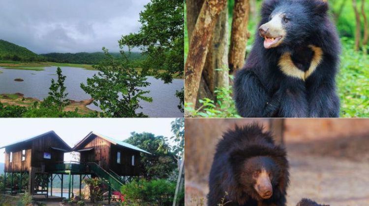 Explore Ratanmahal Sloth Bear Sanctuary