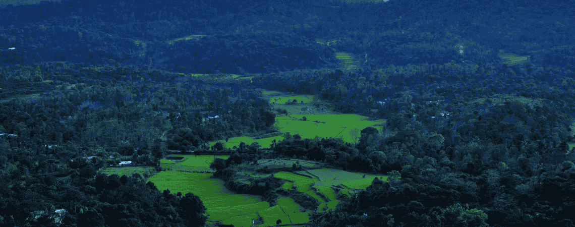 Coorg