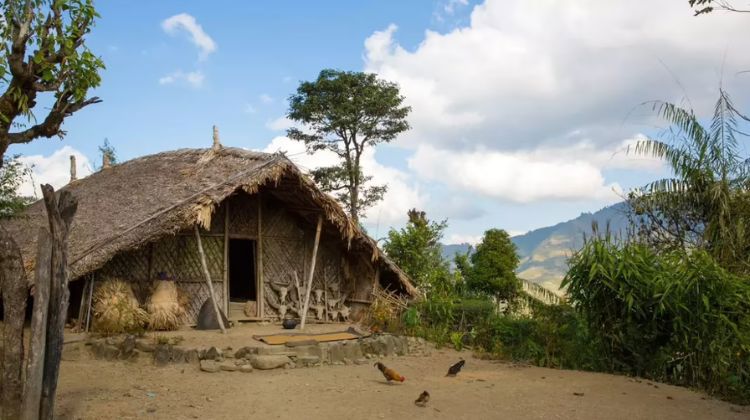 Enjoy Dzuleke Eco-Village