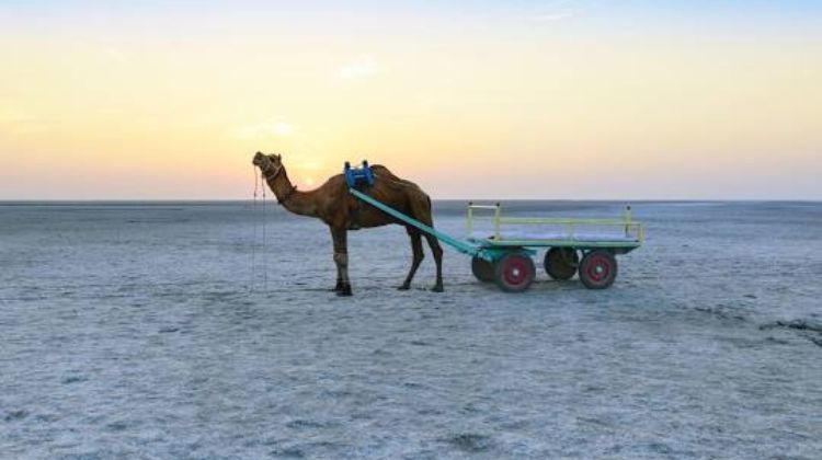 Rann of Kutch