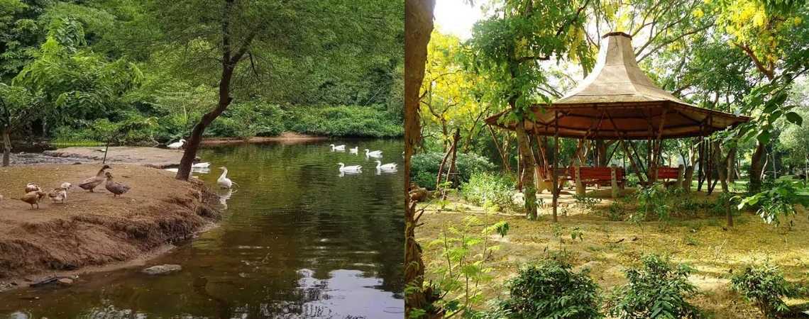 Sanjay Van