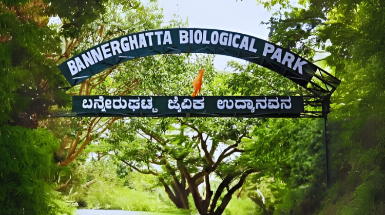 Bannerghatta Biological Park