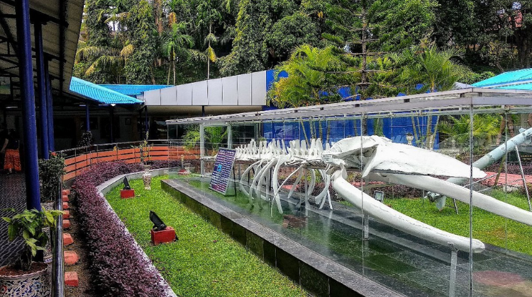 Visit the Samudrika Naval Marine Museum