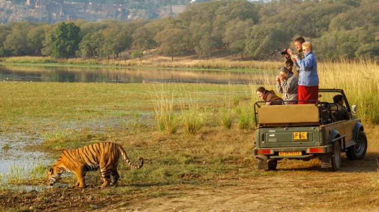 Ranthambore National Park