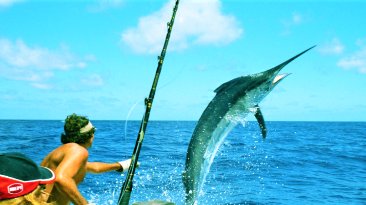 Try Your Hand at Shore Fishing