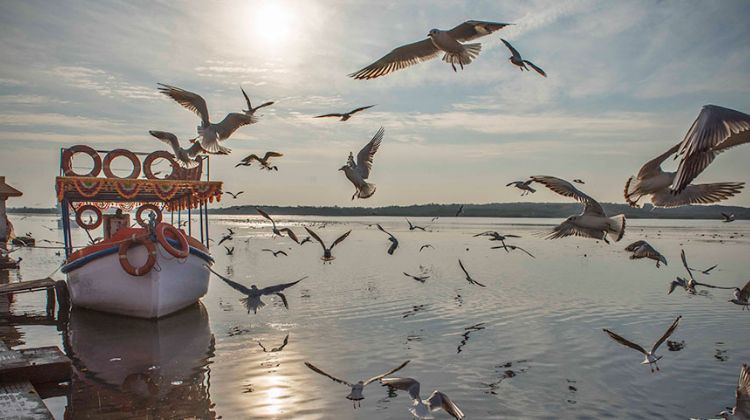 Triveni Sangam
