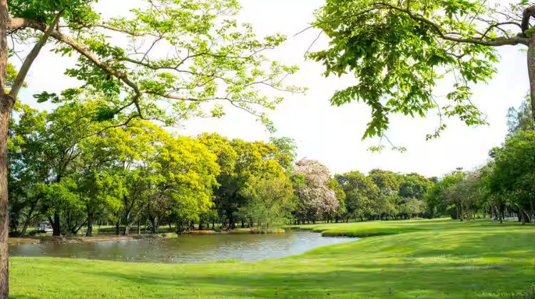 Stroll at Jawahar Nagar Park