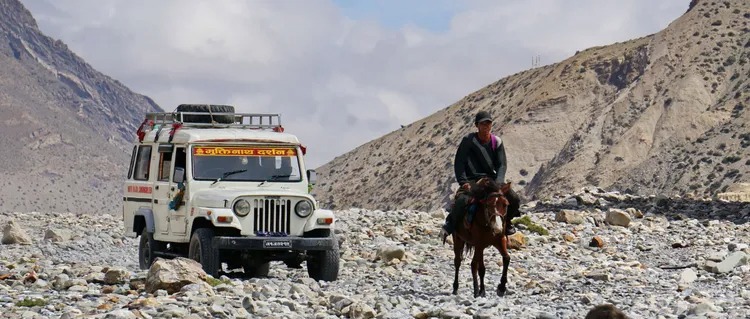 Ride Shared Taxis Like a Local