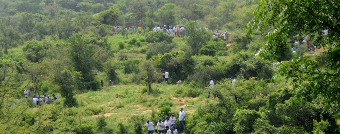Tilpath Valley Biodiversity Park
