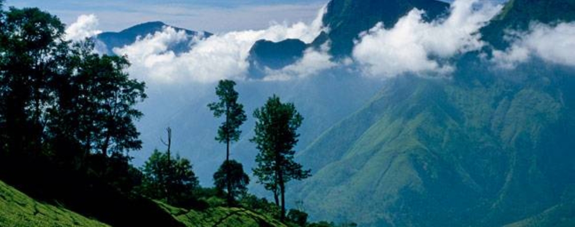 Ooty, Tamil Nadu