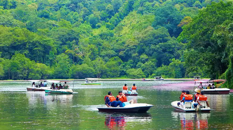 Explore Pookode Lake – Nature Without the Price Tag
