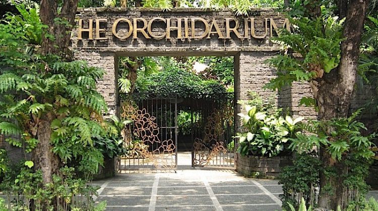 Explore Khonghampat Orchidarium