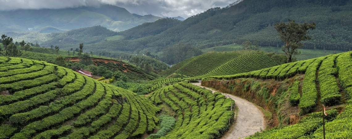 Wayanad, Kerala
