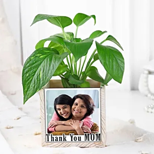 Leafy Love Organiser for Mom