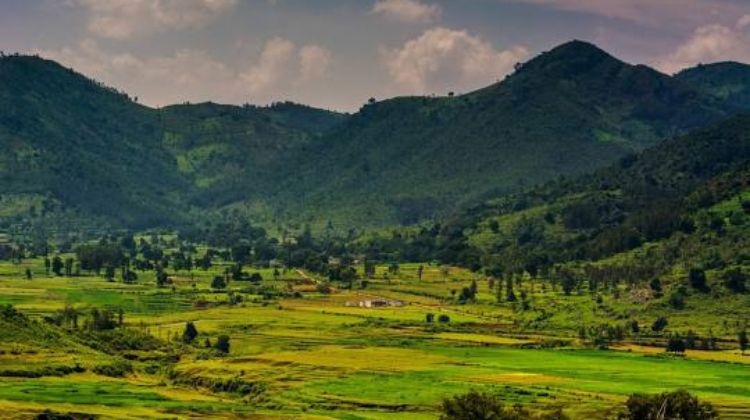 Araku Valley, Andhra Pradesh