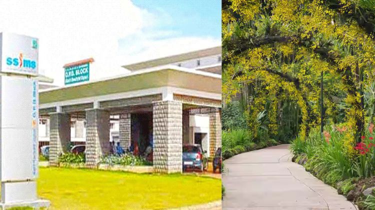 Visit the SS Institute Botanical Garden