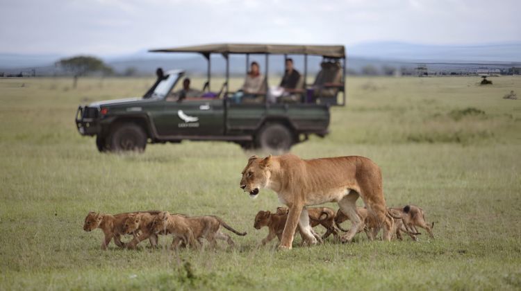 Nandan Van Jungle Safari
