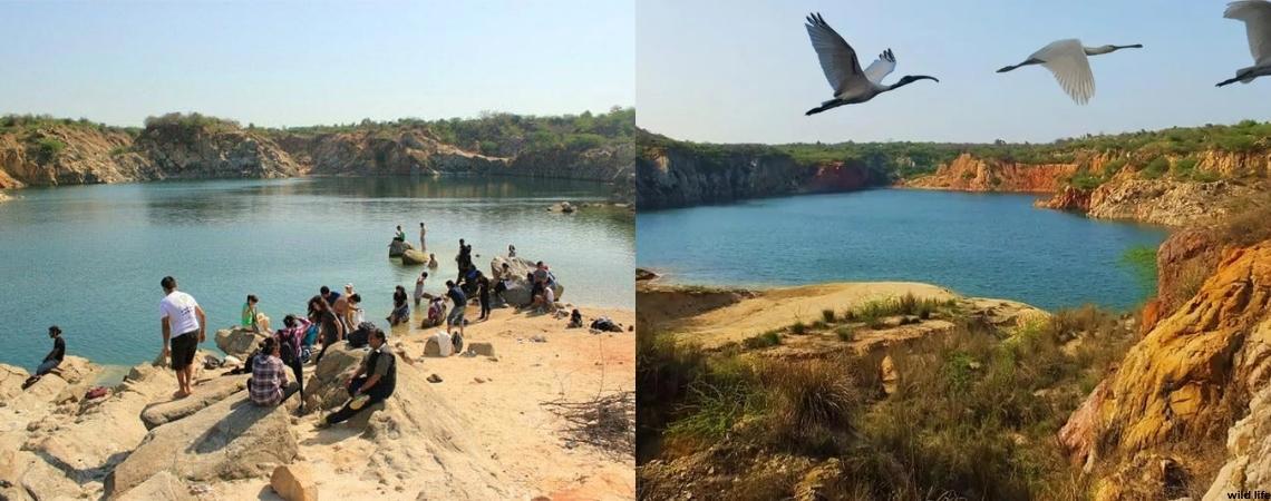 Asola Bhatti Wildlife Sanctuary