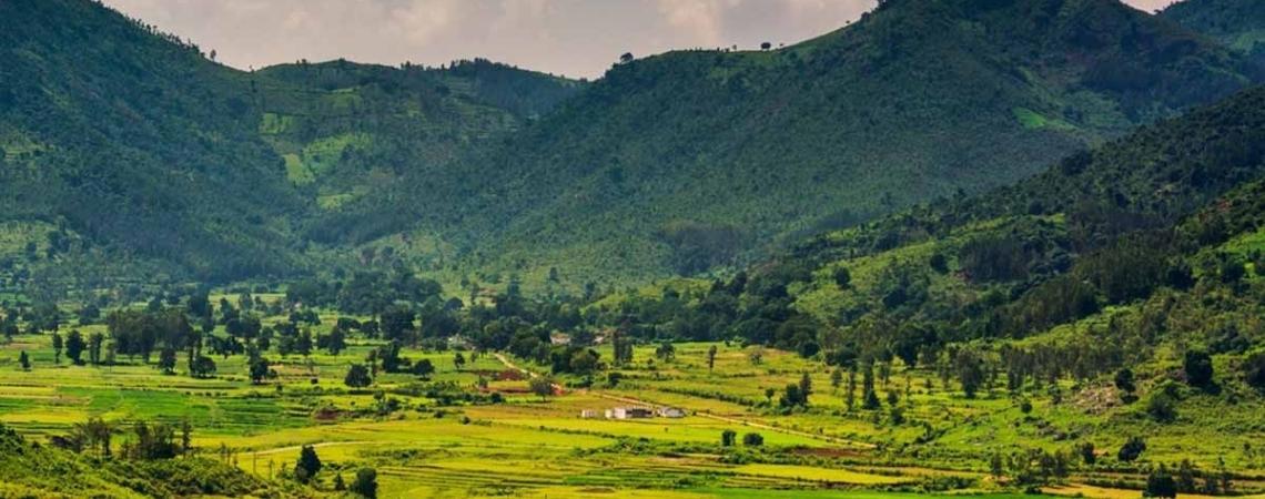 Araku Valley, Andhra Pradesh