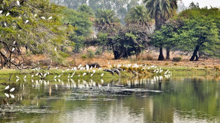 Van Vihar National Park 