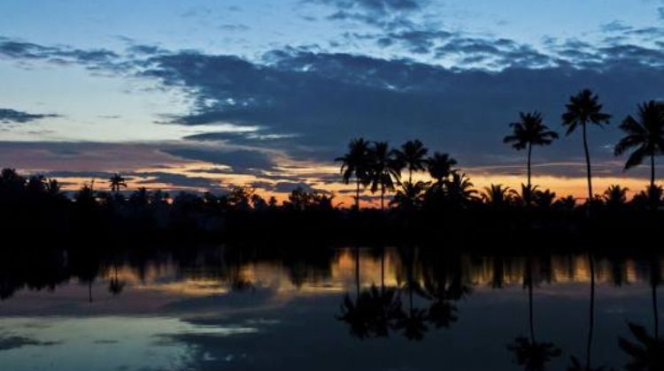 Kumbalangi, Kerala – India’s First Model Tourism Village