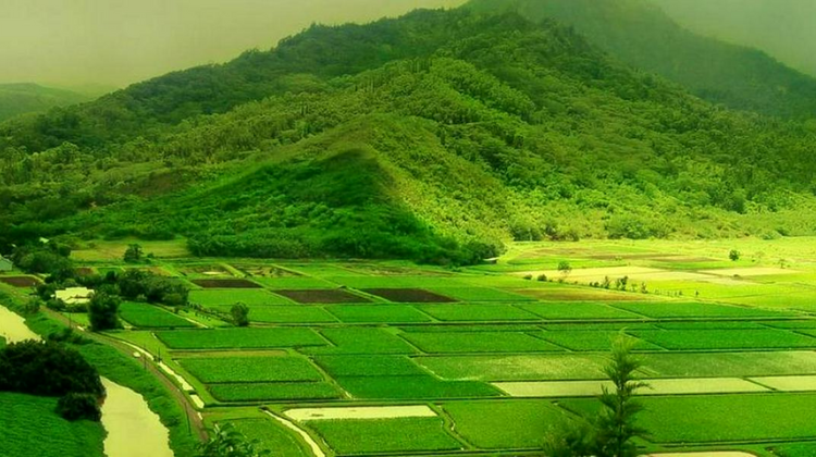 Coorg, Karnataka – India's Scotland