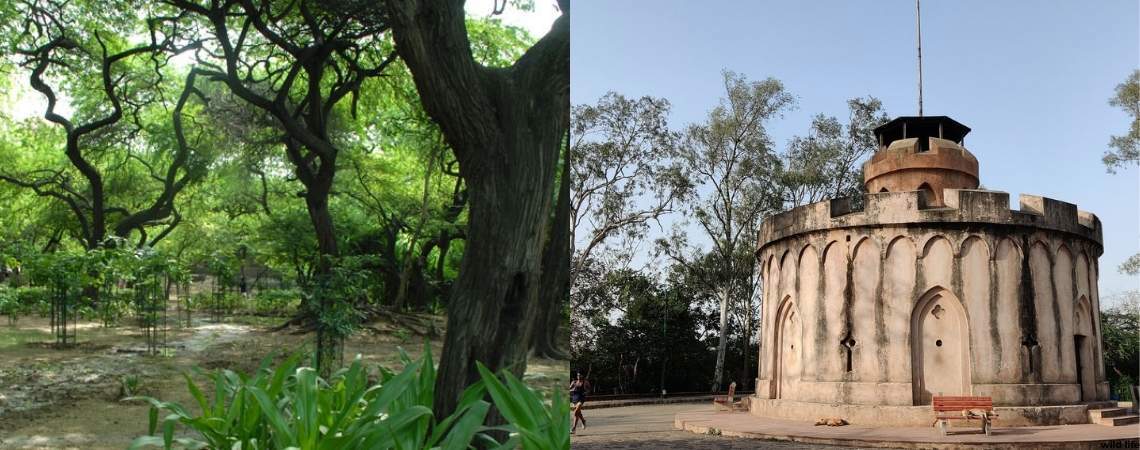 Kamla Nehru Ridge