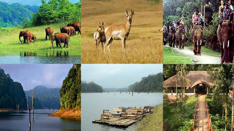 Periyar Wildlife Sanctuary