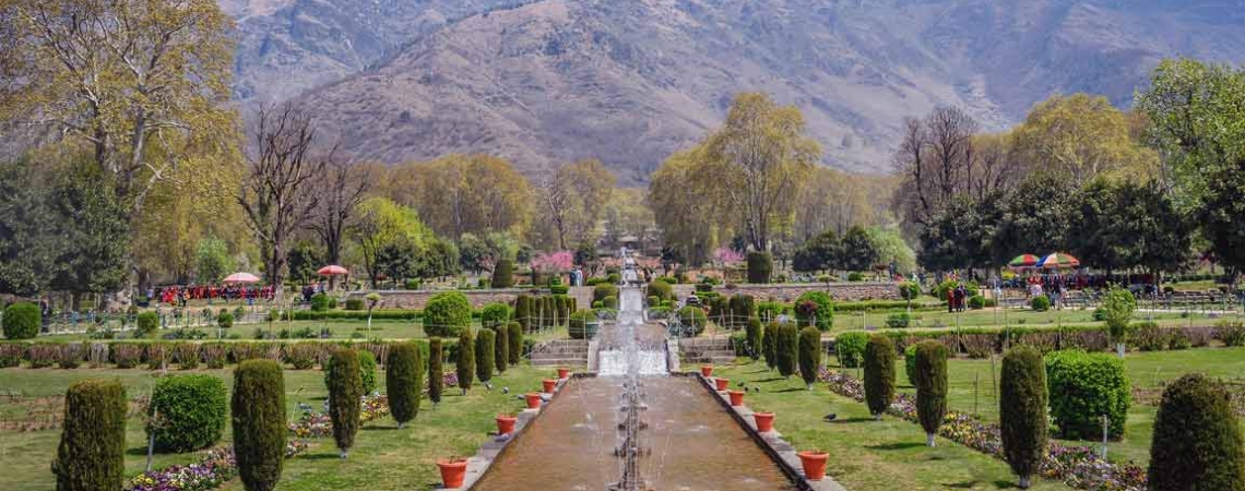Explore the Mughal Gardens