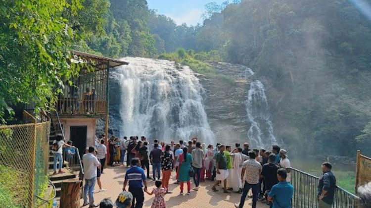 Coorg, Karnataka – Organic Coffee Trails