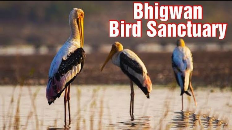 Bhigwan, Maharashtra