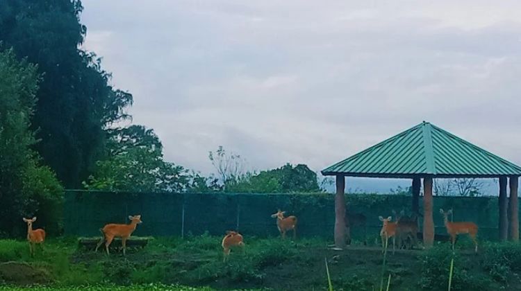Visit Manipur Zoological Garden