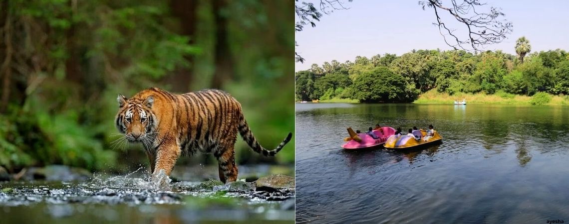 Sanjay Gandhi National Park