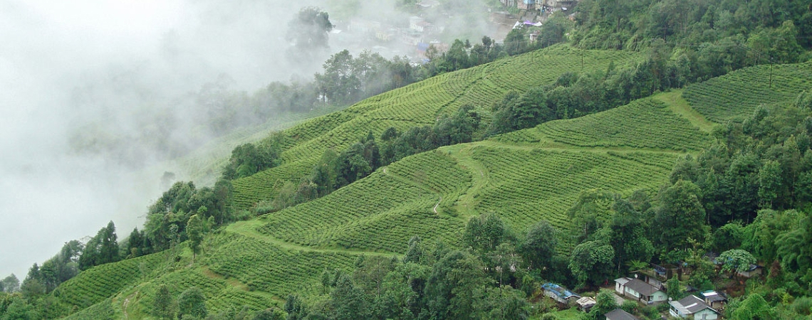 Darjeeling, West Bengal