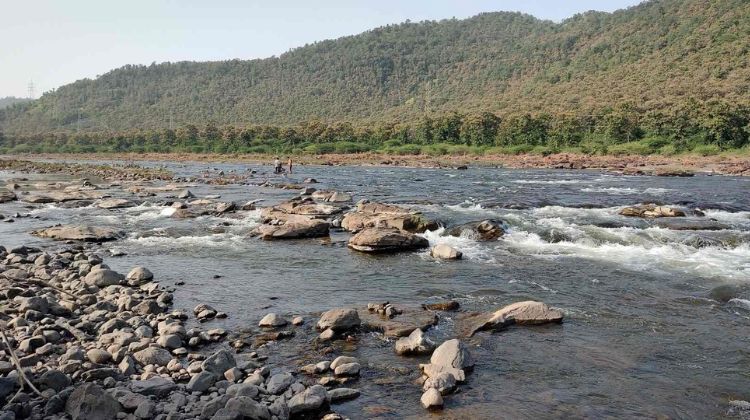 Roam Free at Choral Dam