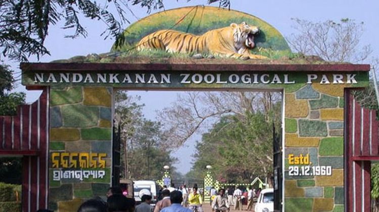 Picnic at Nandankanan Zoological Park for ₹50